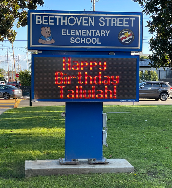 birthday-marquee