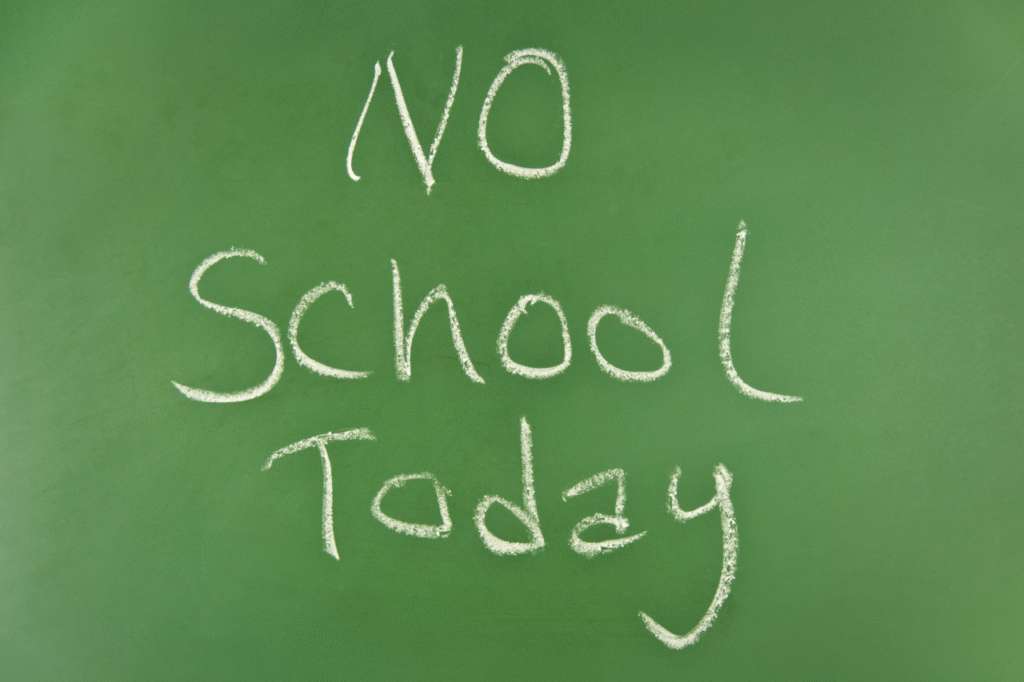 No School Today